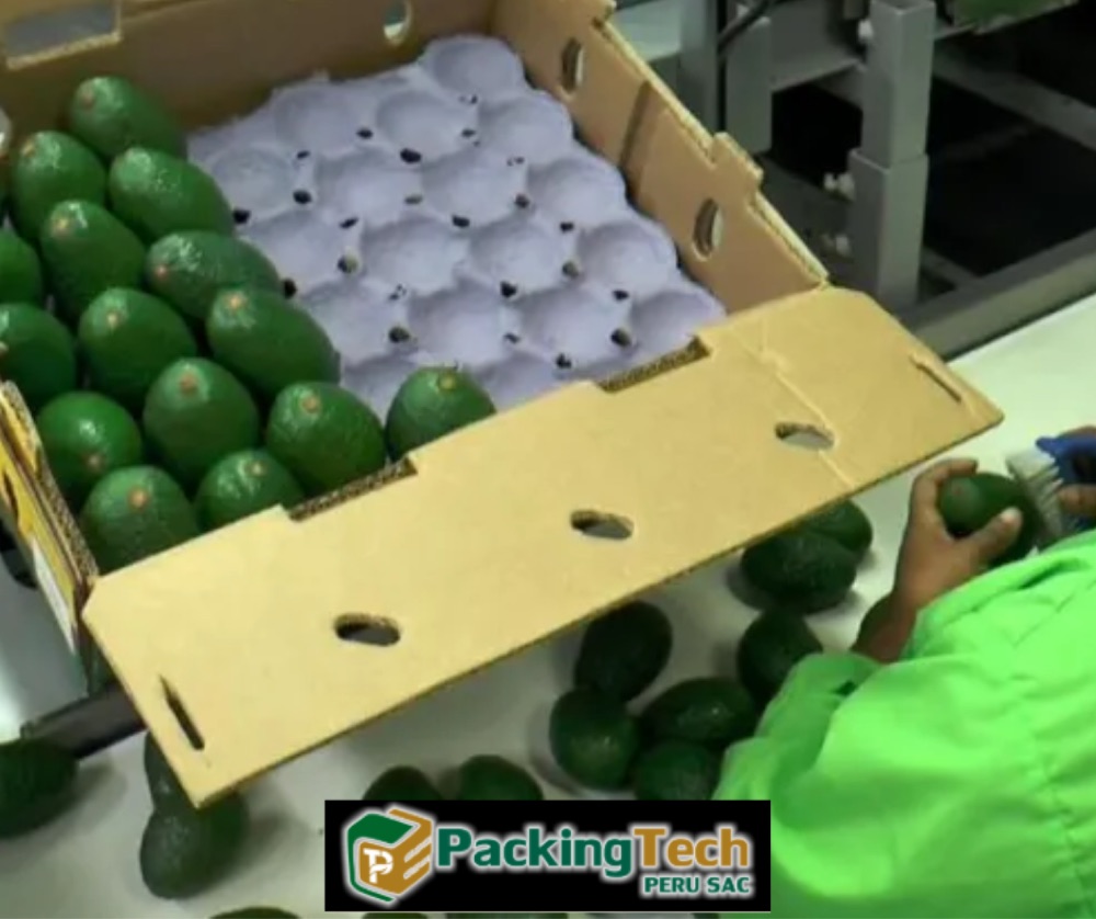 Servicio de packing y empaque