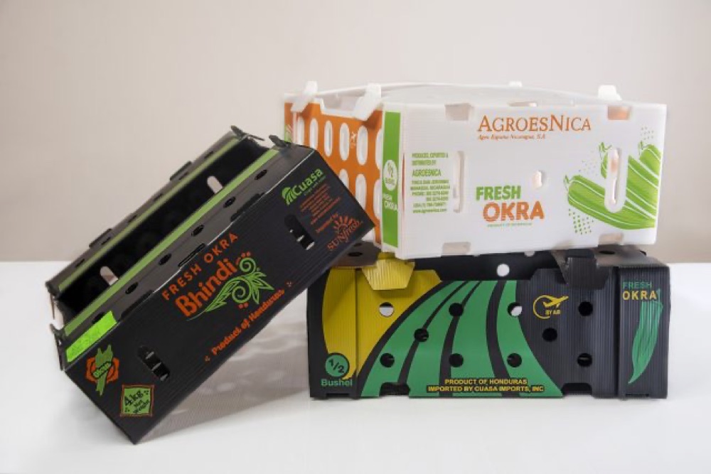 Diseño de packaging para exportación